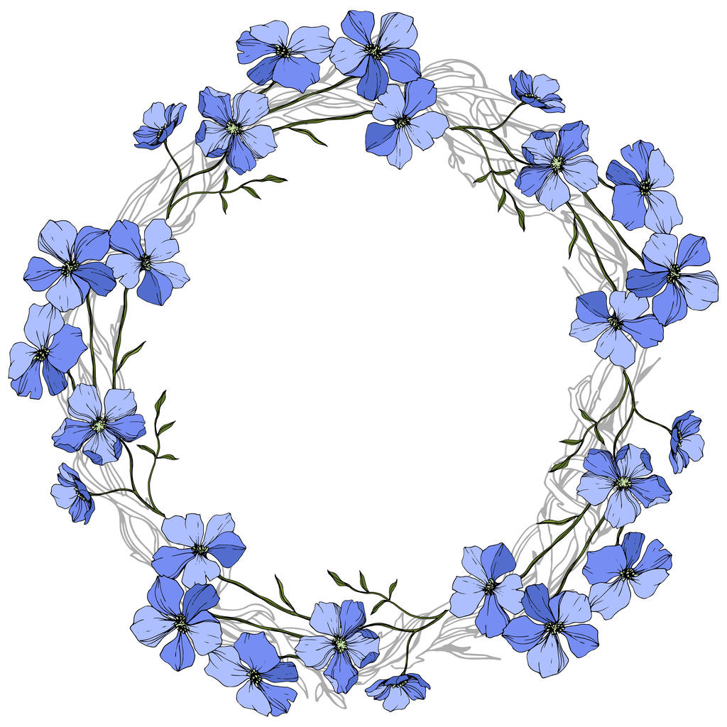 Vektör mavi keten botanik çiçek beyaz arka plan üzerinde. Vahşi bahar yaprak izole kır çiçeği. Oyulmuş mürekkep sanat. Çerçeve kenarlığı süsleme Meydanı. - Vektör, Görsel