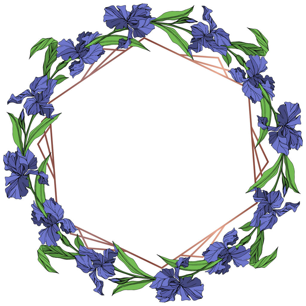 Vector Blue íris floral flor botânica sobre fundo branco. Folha selvagem primavera wildflower isolado. Arte de tinta azul e verde gravada. Quadro borda ornamento quadrado
. - Vetor, Imagem