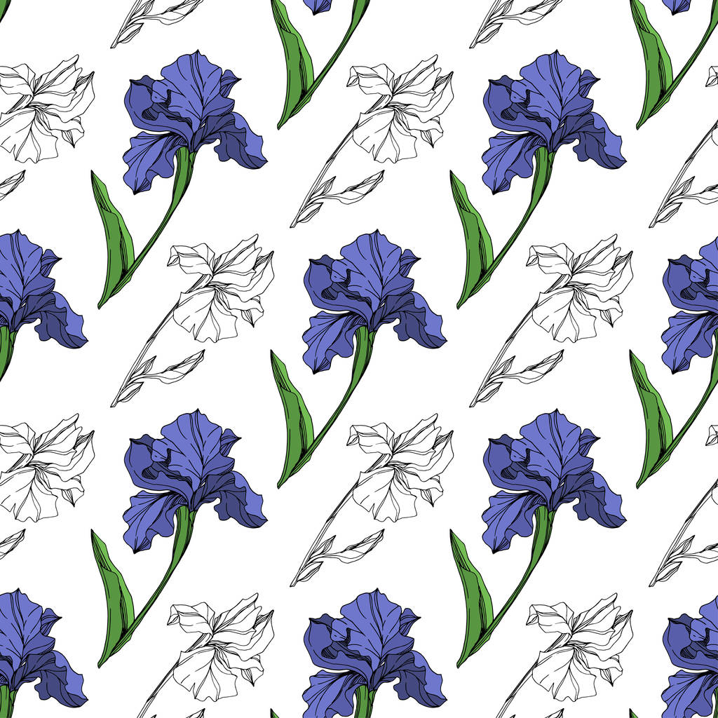 Vektör mavi iris botanik çiçek. Vahşi bahar yaprak izole kır çiçeği. Mavi ve yeşil mürekkep sanat kazınmış. Sorunsuz arka plan deseni. Kumaş duvar kağıdı yazdırma doku. - Vektör, Görsel