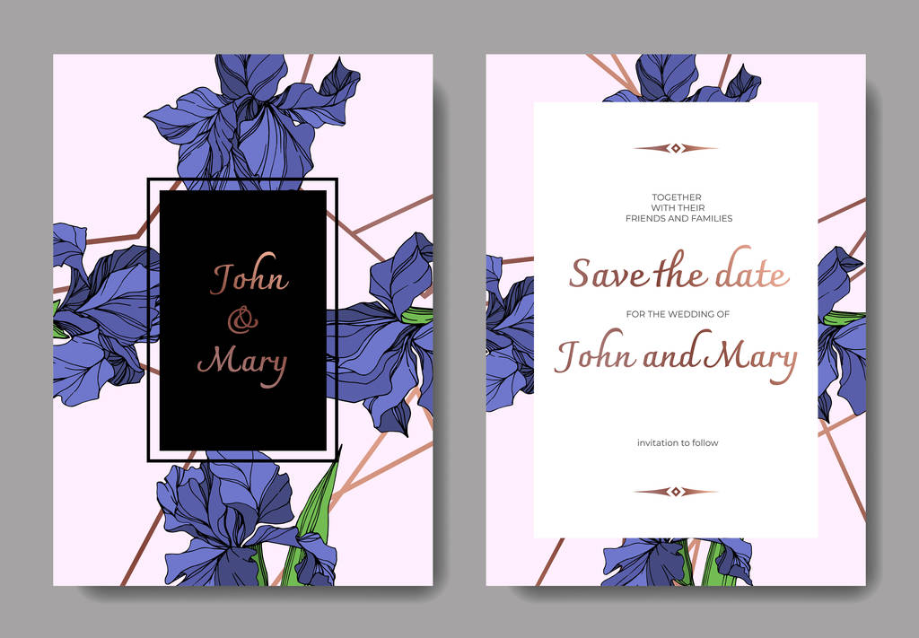Διάνυσμα floral βοτανικό λουλούδι Μπλε ίριδες. Άγρια άνοιξη φύλλων wildflower απομονωμένη. Χαραγμένο μελάνι τέχνης. Γάμος φόντο κάρτα floral διακοσμητικά σύνορα. Κομψή κάρτα γραφικών εικονογράφηση θέσει πανό. - Διάνυσμα, εικόνα