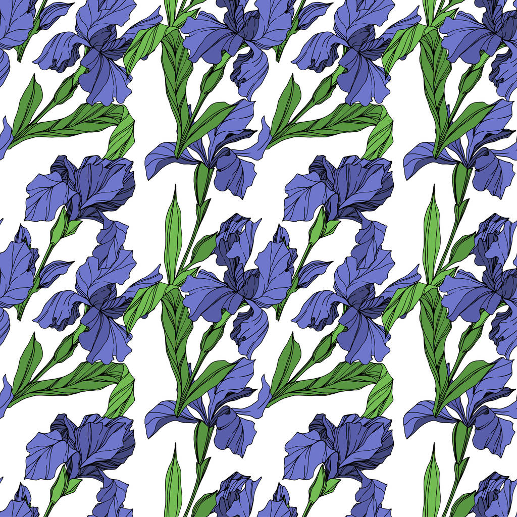 Wektor Blue iris botaniczny kwiat kwiatowy. Wiosna dzikiego wildflower liść na białym tle. Niebieski i zielony tusz grawerowane sztuki. Bezszwowe tło wzór. Tkanina tapeta tekstura wydruku. - Wektor, obraz