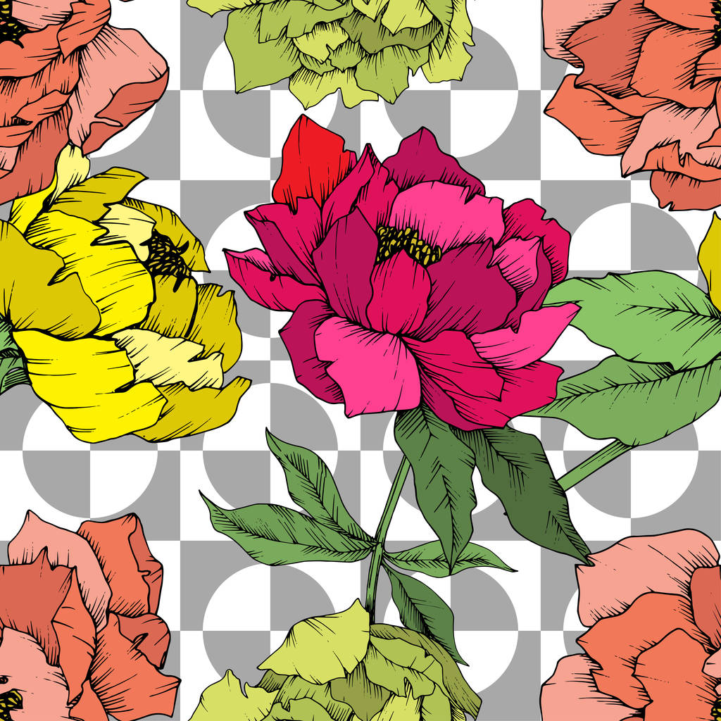 Vektor pünkösdi rózsa virág botanikai virág. Vad tavaszi levél vadvirág elszigetelt. Vésett tinta art. Varratmentes háttérben minta. Anyagot a nyomtatási textúrát. - Vektor, kép