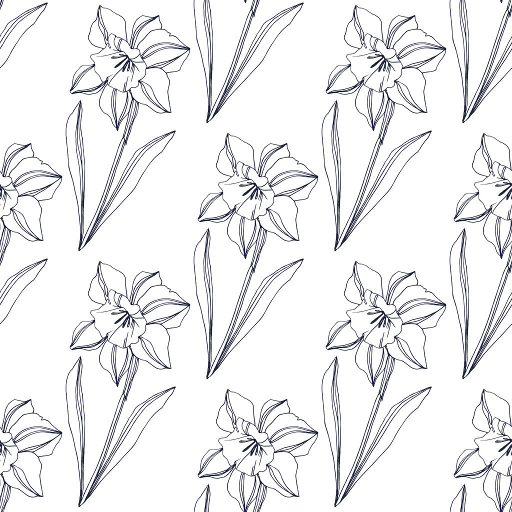 Vector Narcissus floral botanische bloem. Wild voorjaar blad wildflower geïsoleerd. Zwart-wit gegraveerd inkt kunst. Naadloze achtergrondpatroon. Structuur behang print textuur. - Vector, afbeelding
