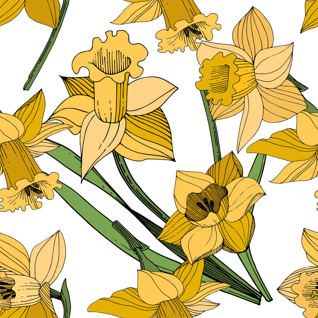 Vector Yellow Narcissus floral botanical flower. Wild spring leaf wildflower isolated. Engraved ink art. Seamless background pattern. Fabric wallpaper print texture. - Vector, Image