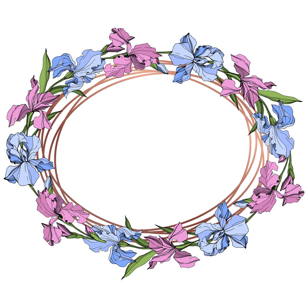 Vector roze en blauwe iris floral botanische bloem. Wild voorjaar blad wildflower geïsoleerd. Gegraveerde inkt art. Frame grens ornament vierkant. - Vector, afbeelding