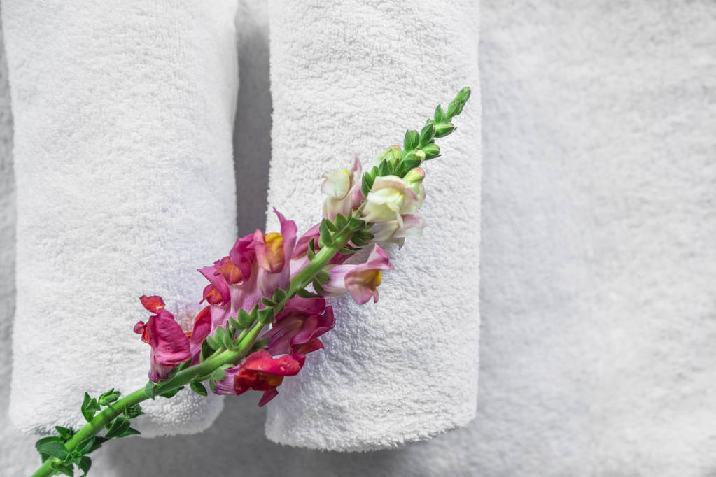 Toalhas de banho com flor fresca snapdragon colorido
 - Foto, Imagem
