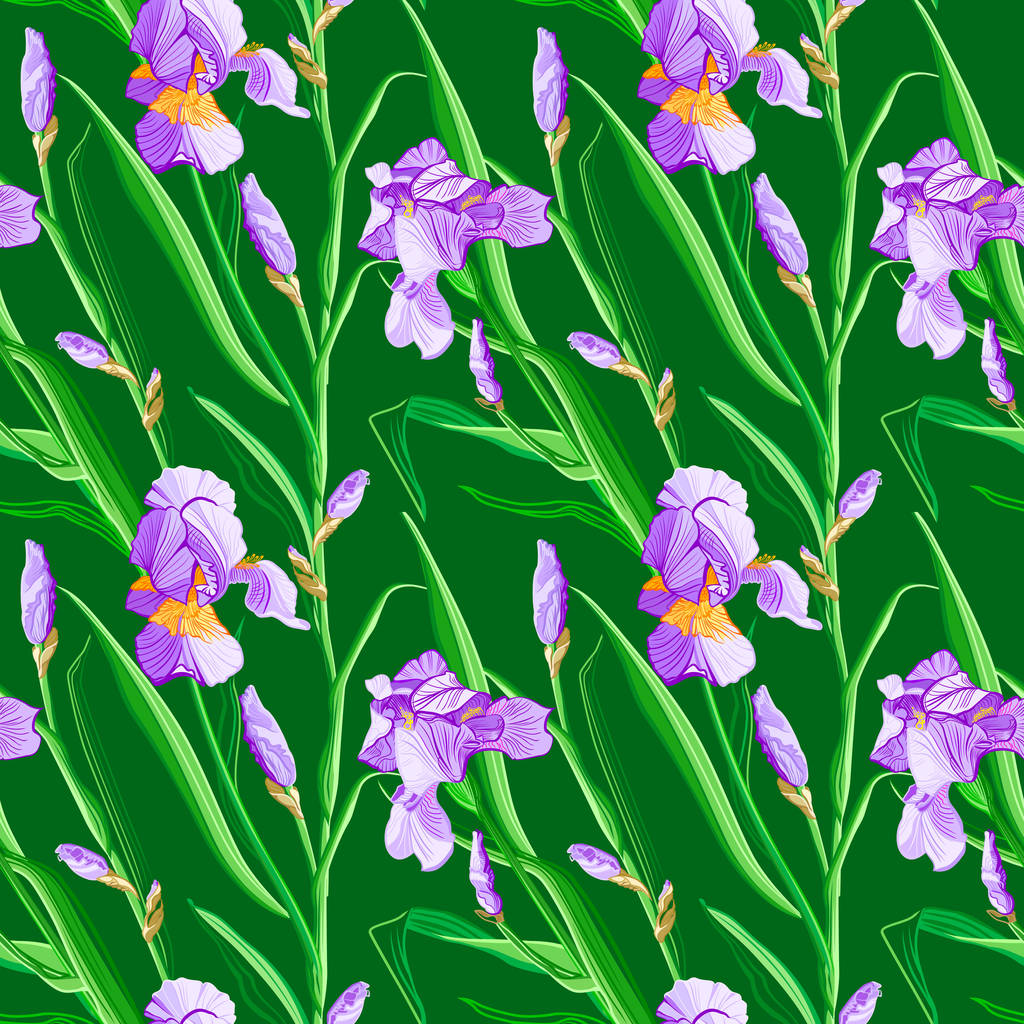 アイリスの花と花柄。カラフルな菖蒲の花のシームレス パターン. - ベクター画像
