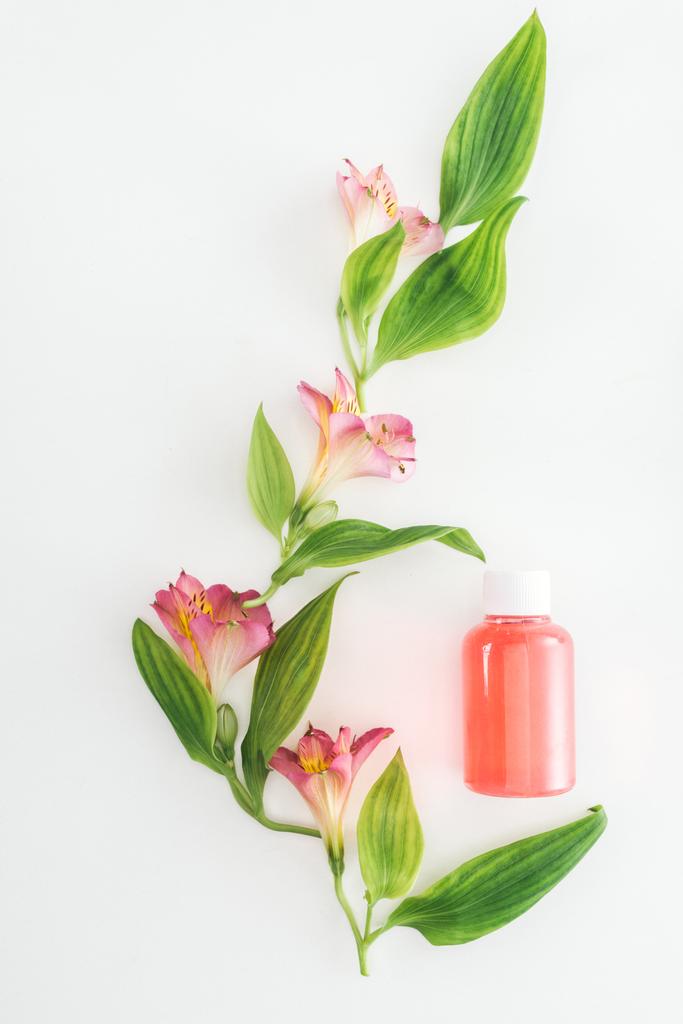 白地にピンクのアルストロメリアの花、緑の葉、オレンジ ローション ボトルのコンポジションのトップ ビュー - 写真・画像