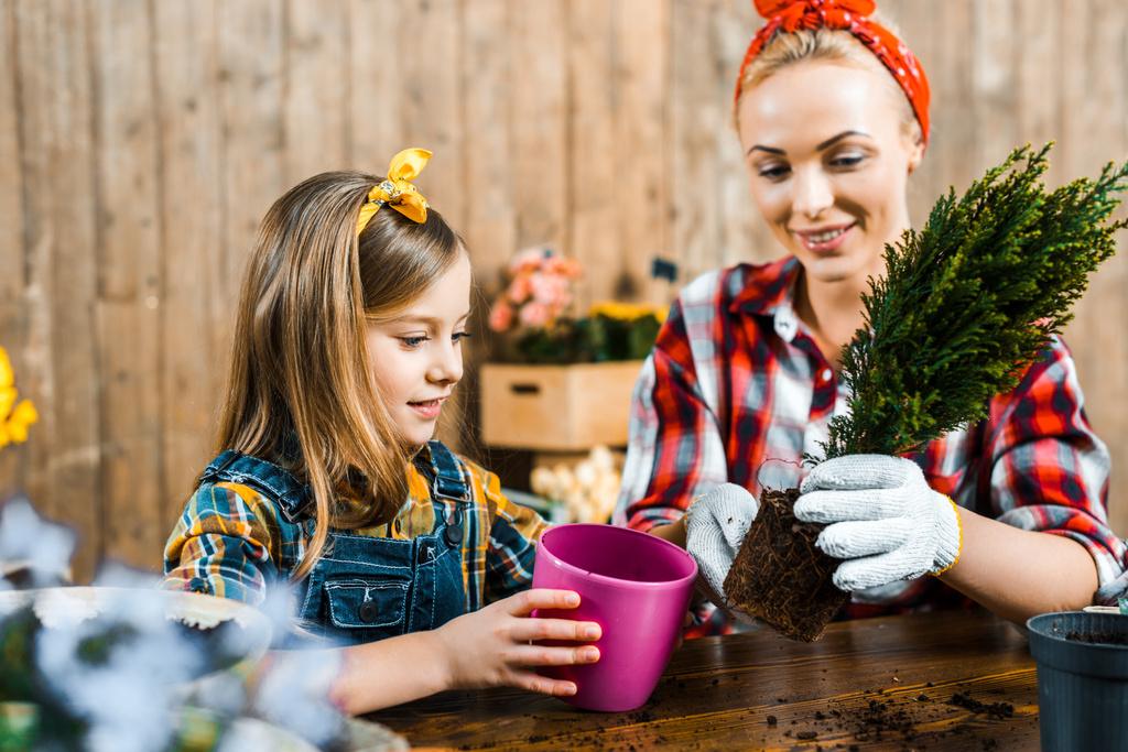 beautiful mother transplanting green plant in pot near cute daughter - Photo, Image