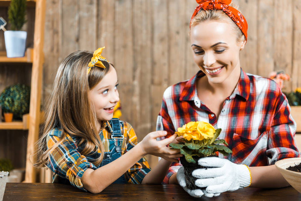 cheerful kid looking at happy mother holding pot with flowers in hands  - Photo, Image