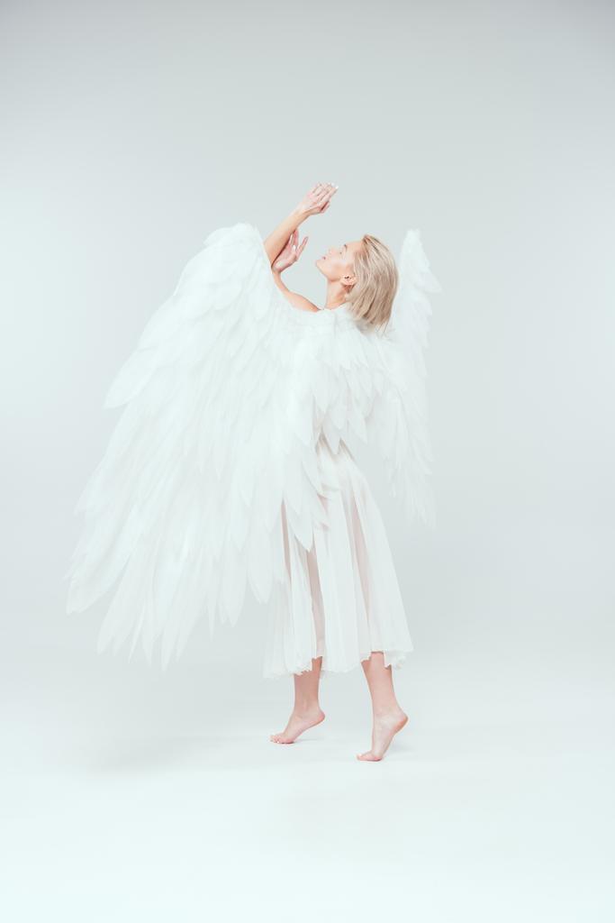 krásná nabídka žena s andělskými křídly gestikuloval rukama a Pózování na bílém pozadí - Fotografie, Obrázek