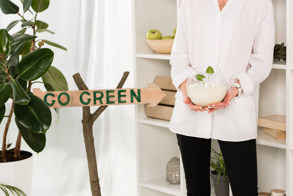 cropped view of woman holding glass fish bowl with sand and green leaves near go green sign in office, environmental saving concept  - Photo, Image