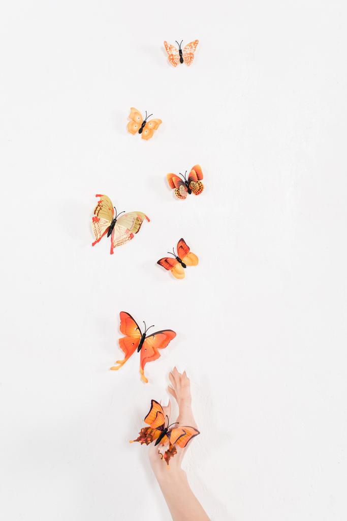 bijgesneden weergave van hand in de buurt van Oranje vlinders vliegen op witte achtergrond, milieu opslaan concept  - Foto, afbeelding