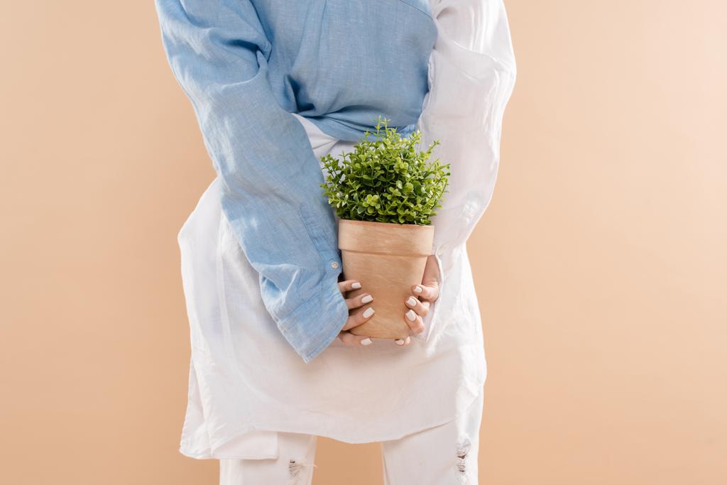 vue recadrée d'une jeune femme tenant un pot avec plante isolée sur beige, concept de sauvegarde de l'environnement
  - Photo, image