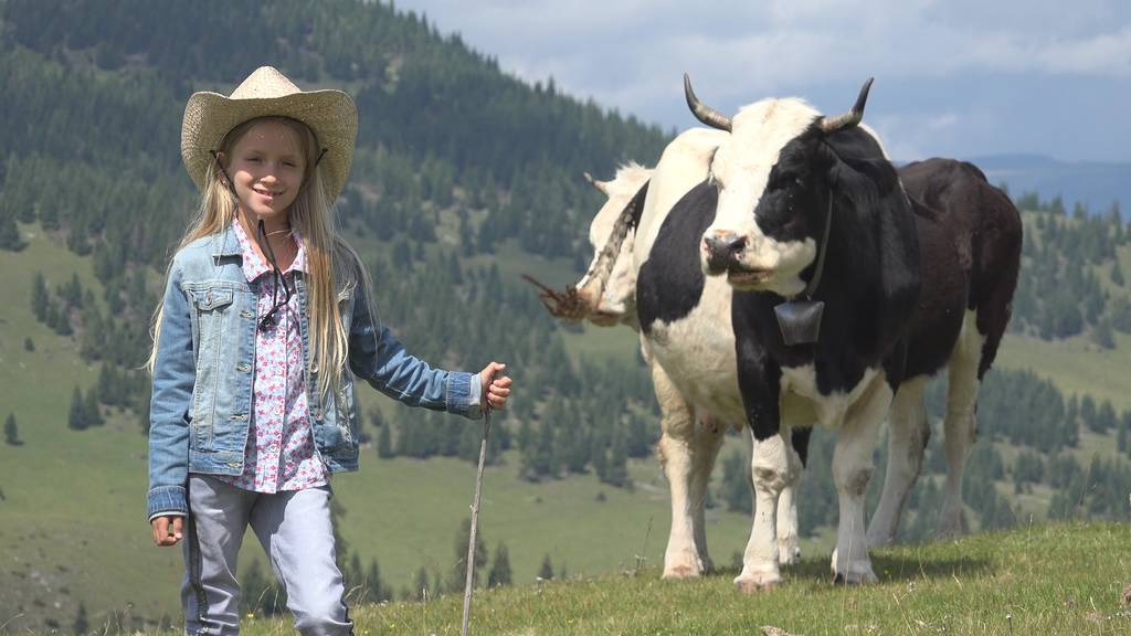 Granjero niño pastoreo vacas, vaquero chica con ganado en el prado en las montañas 4K
 - Foto, imagen