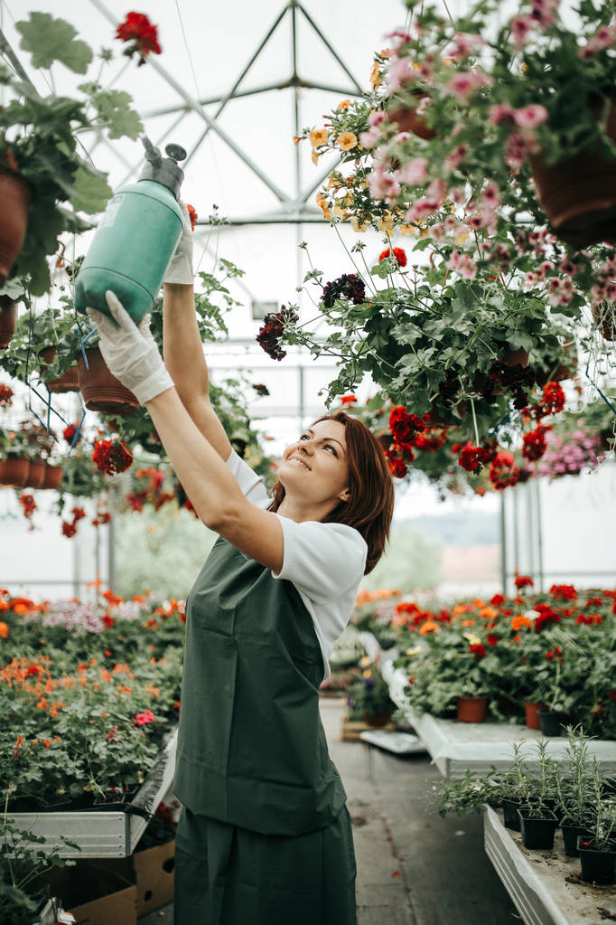 Pelirroja joven mujer trabajando en invernadero y disfrutando en hermosas flores. Trabajadora del centro de jardinería
. - Foto, imagen