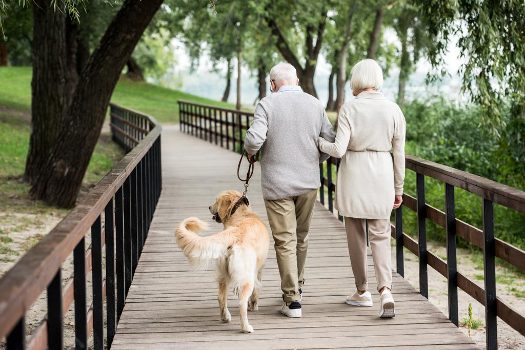 senior couple walking with cute dog iacross wooden bridge in park - Photo, Image