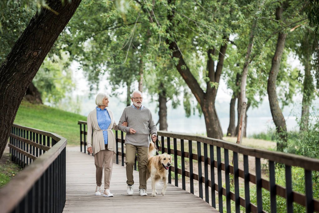 Starší žena a manžel chodí s přátelský pes v parku - Fotografie, Obrázek