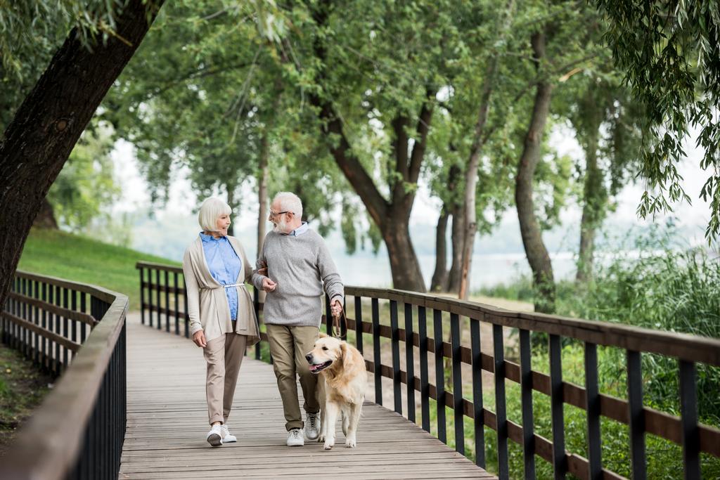 vanhempi pari puhuu kävellessään koiran kanssa puistossa
 - Valokuva, kuva