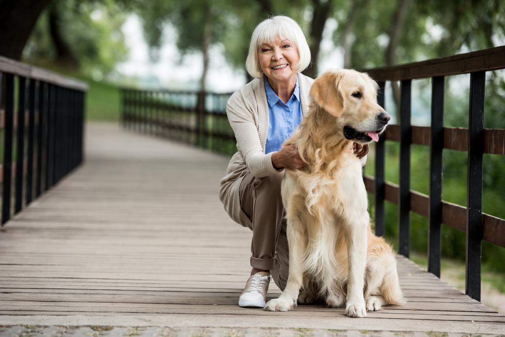 mulher sênior feliz com cão golden retriever na ponte de madeira
 - Foto, Imagem