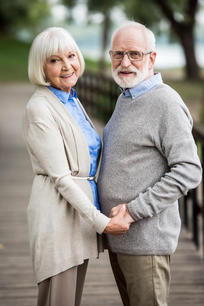 happy senior couple on wooden bridge holding hands and looking at camera - Photo, Image