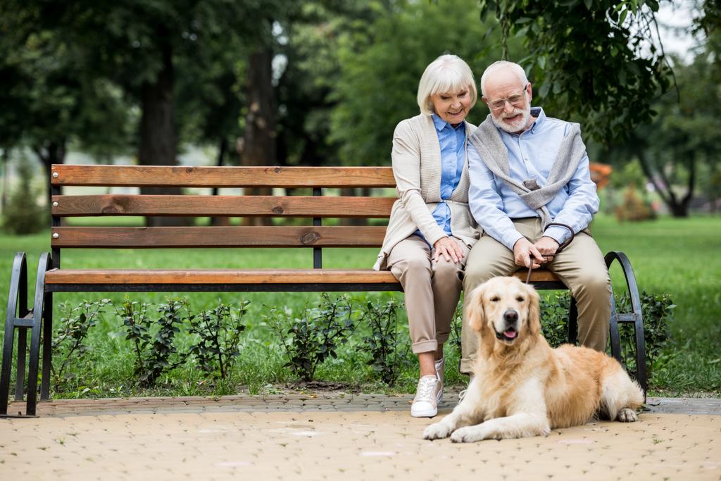 nice senior couple sitting on wooden bench and adorable dog lying nearby on paved sidewalk - Photo, Image