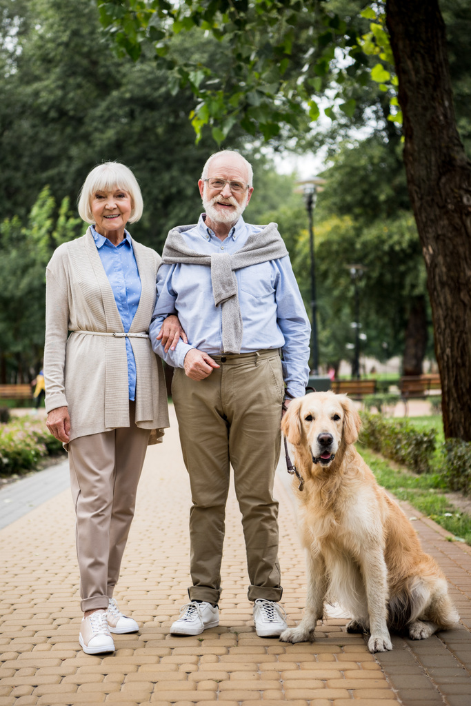 heureux sourire couple aîné avec chien adorable dans le parc
 - Photo, image