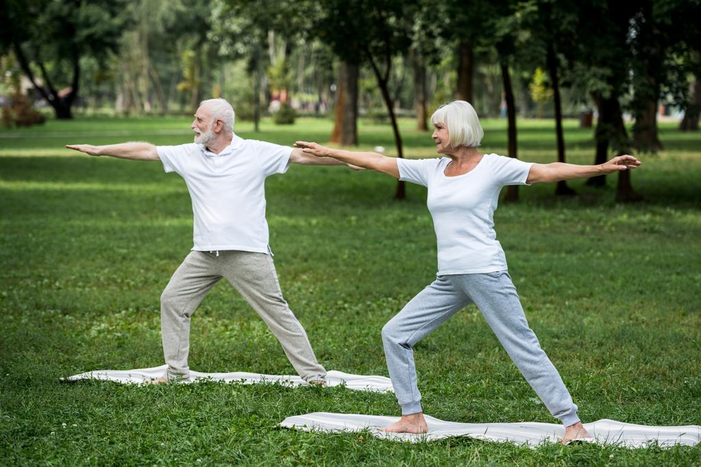 старшая пара, стоящая в позах воина II на ковриках для йоги в парке
 - Фото, изображение