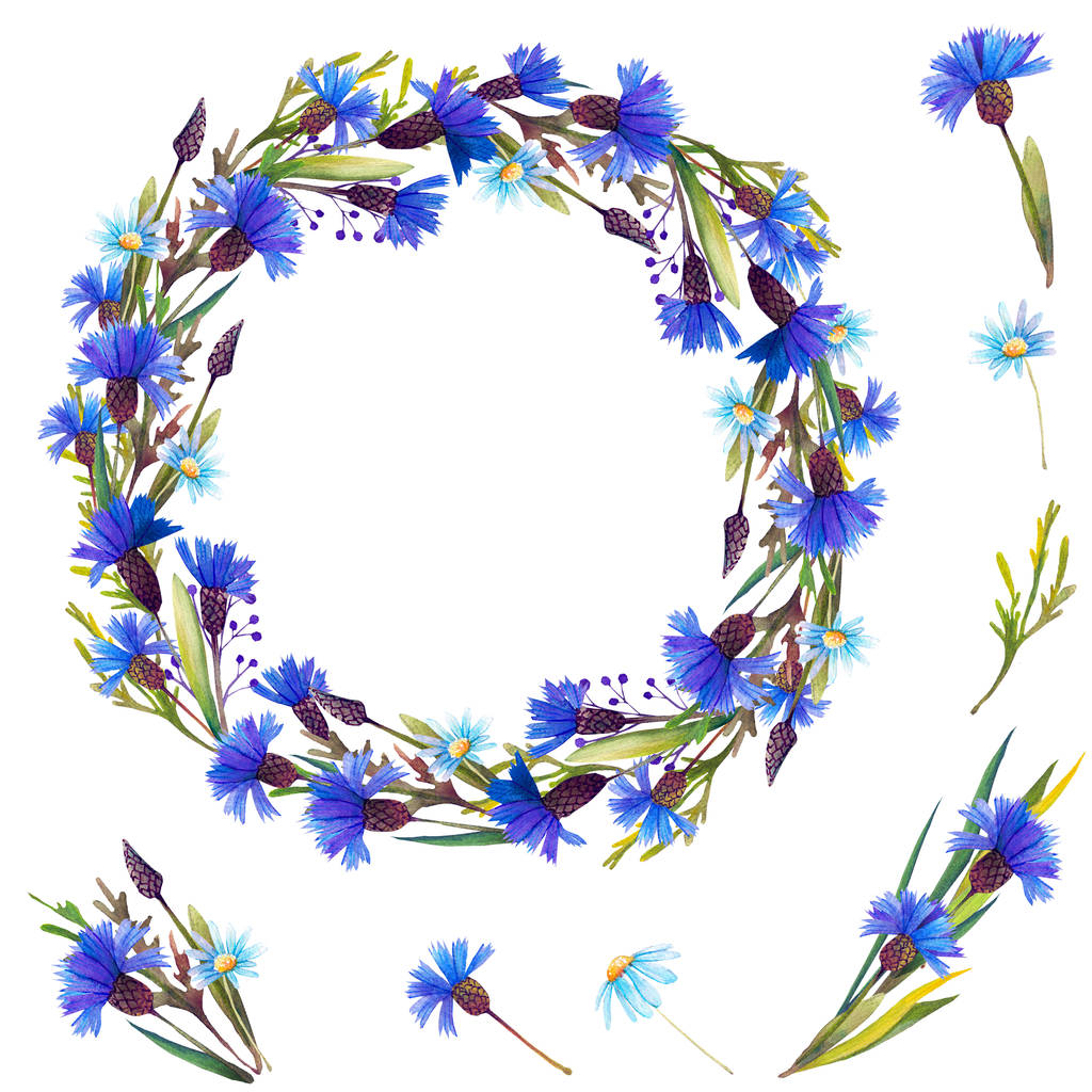 Aquarellkranz mit blauen Kornblumen und Gänseblümchen auf weißem Hintergrund. - Foto, Bild