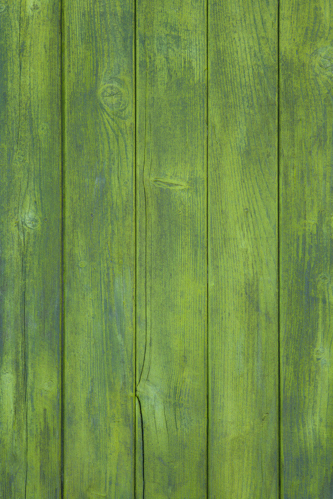 zöld fa háttér - Fotó, kép