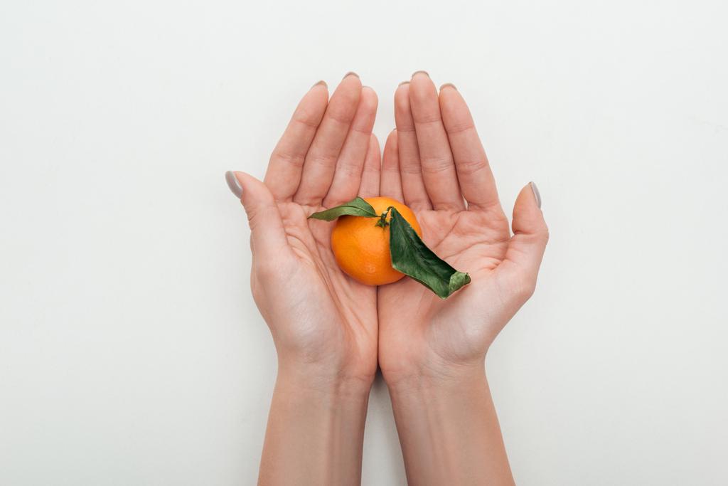 vista recortada de la mujer sosteniendo mandarina con hojas verdes en las manos sobre fondo blanco
 - Foto, Imagen