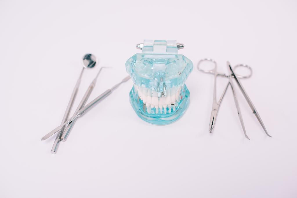 modelo de mandíbula e instrumentos dentários isolados em branco
 - Foto, Imagem