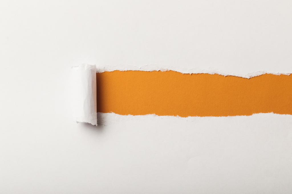 zerrissenes Papier mit Rollrand und Kopierraum auf orangefarbenem Hintergrund - Foto, Bild