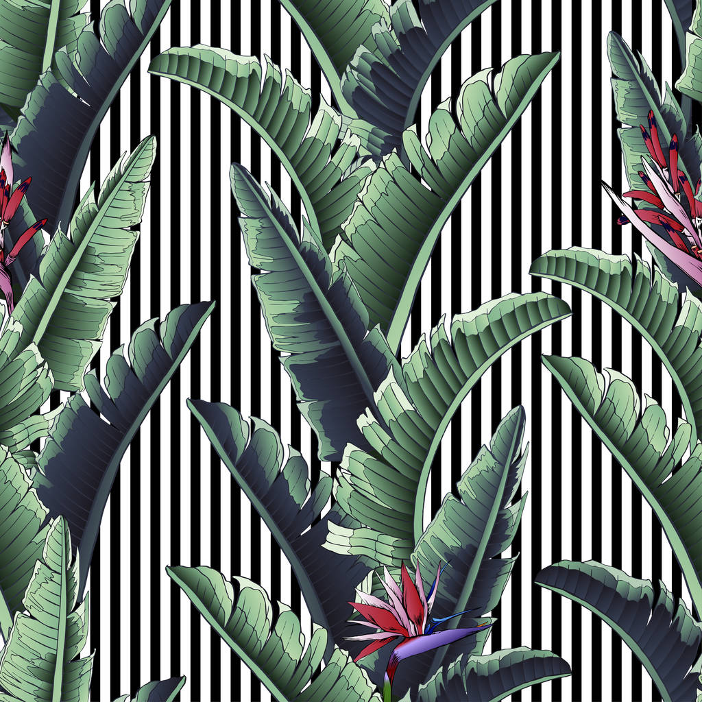 Patrón tropical sin costuras con rayas. Hojas ilustración palmera. Modernos gráficos. Flores de Plumeria
.  - Vector, Imagen