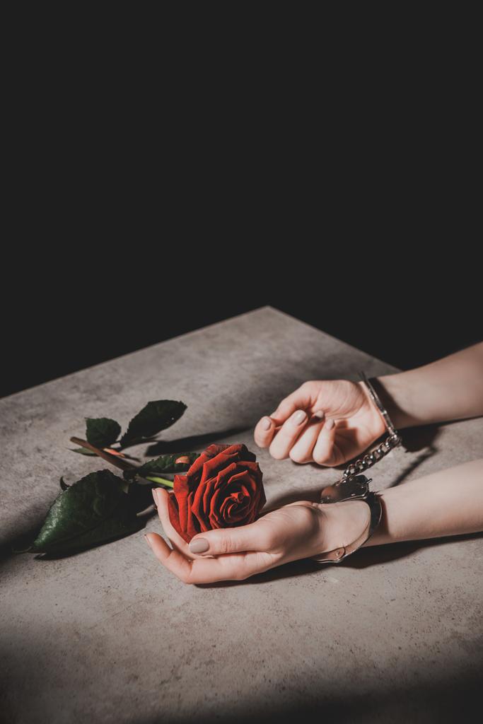 partial view of woman in metal handcuffs holding red rose flower isolated on black - Photo, Image