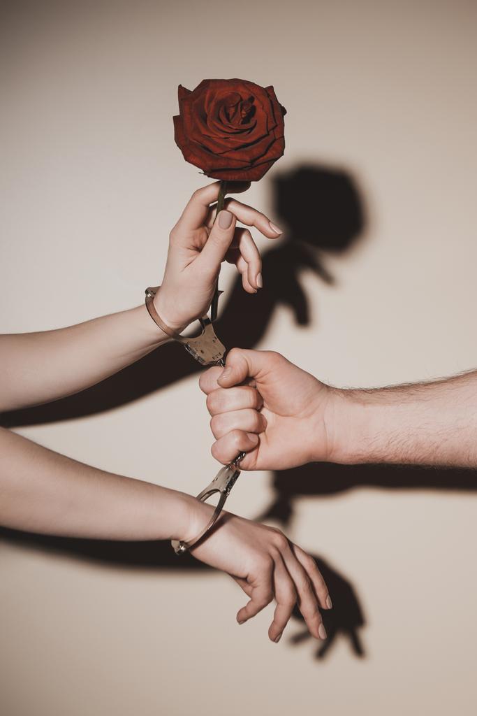 女性と金属製の男の部分的なビューは、ベージュの背景の赤いバラの花を持って手錠します。 - 写真・画像