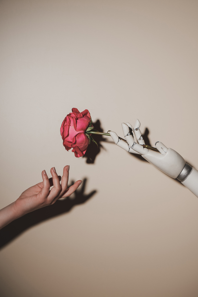 ベージュの背景の赤いバラの花を保持ロボットの手と女性の部分のビュー - 写真・画像