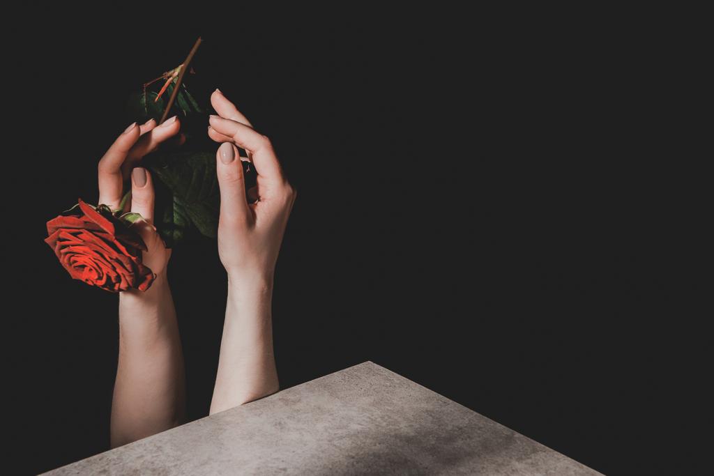 częściowy widok kobiety przytrzymanie różowy kwiat róży na czarnym tle - Zdjęcie, obraz