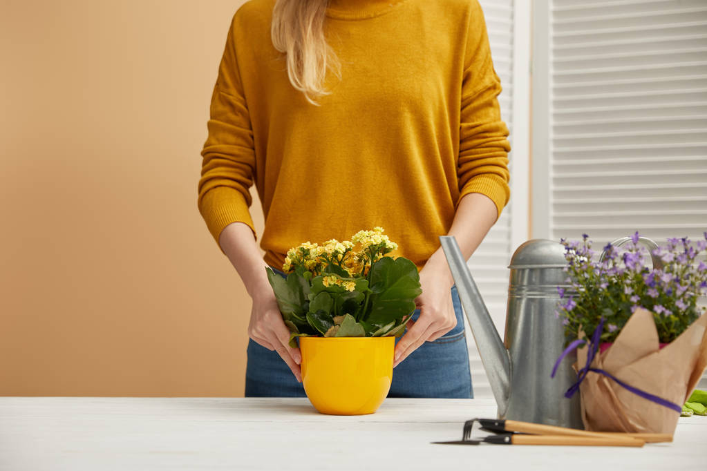 vista parcial del jardinero sosteniendo maceta amarilla con flores
  - Foto, imagen