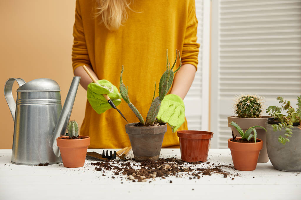 частичный вид садовника в желтом свитере, сажающего кактус в цветочный горшок с лопатой
 - Фото, изображение