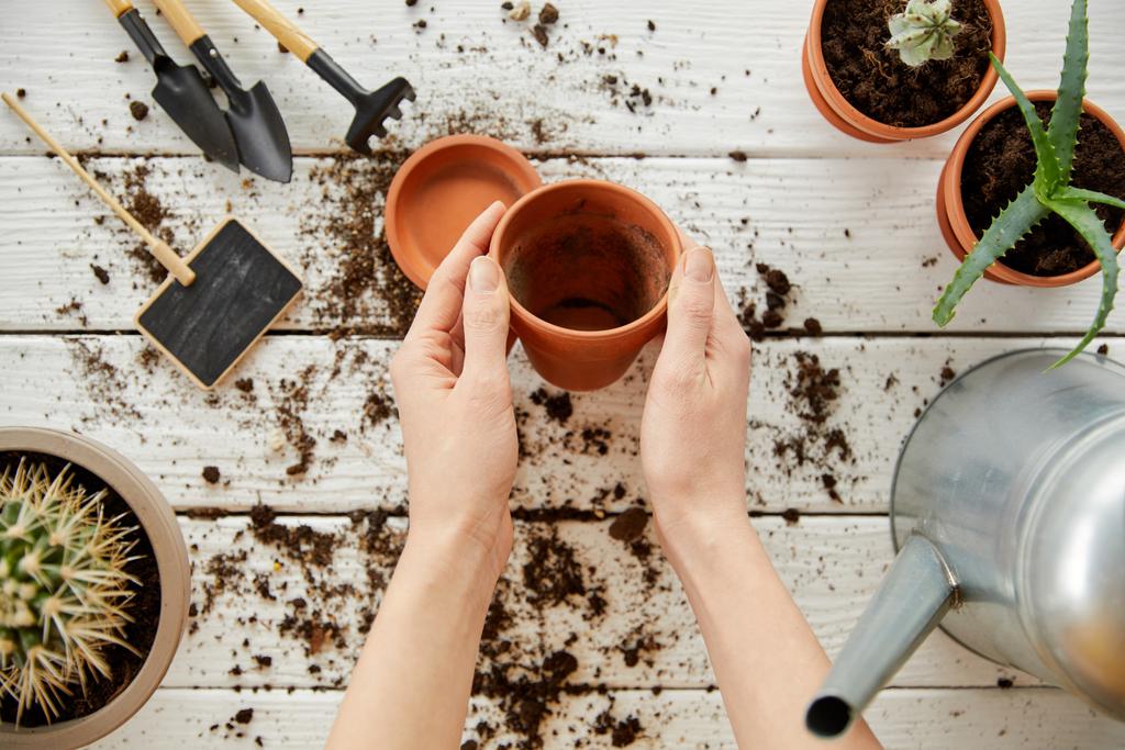 cropped view of gardener holding clay flowerpot among plants, tools and watering can  - Photo, Image