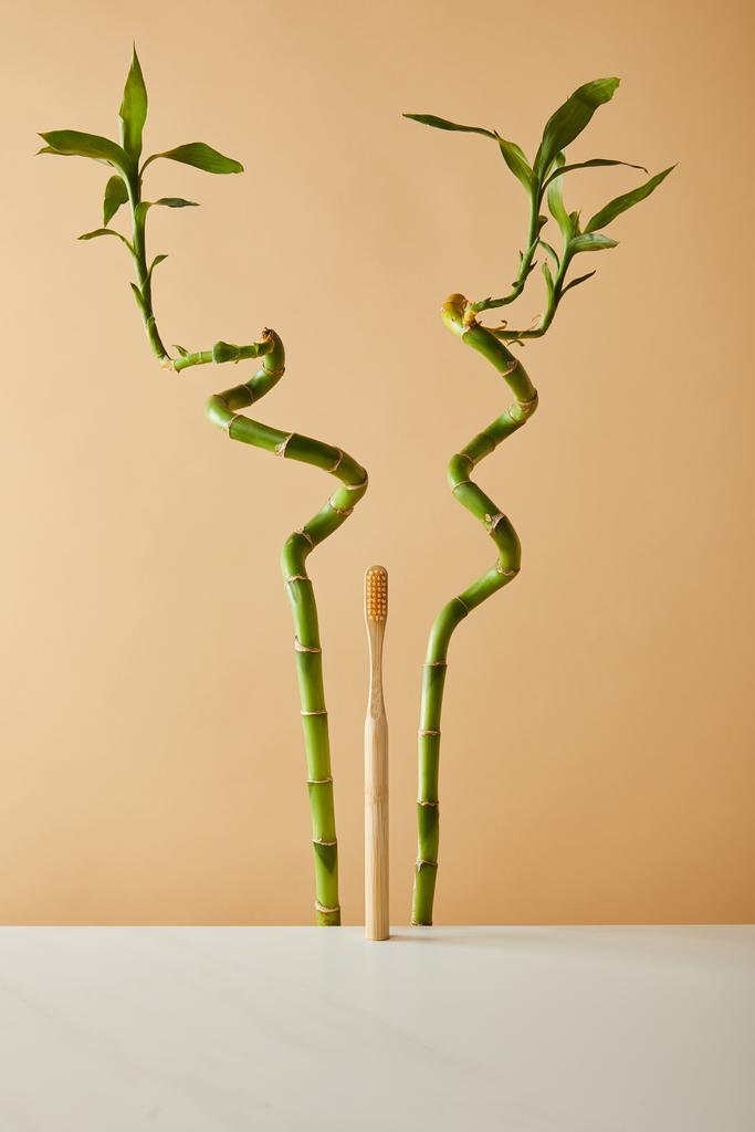 brosse à dents en bambou sur table blanche et tiges de bambou vert sur fond beige
 - Photo, image
