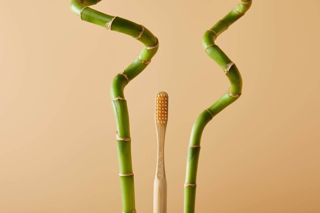 bamboe tandenborstel en groene bamboe stengels op beige achtergrond - Foto, afbeelding