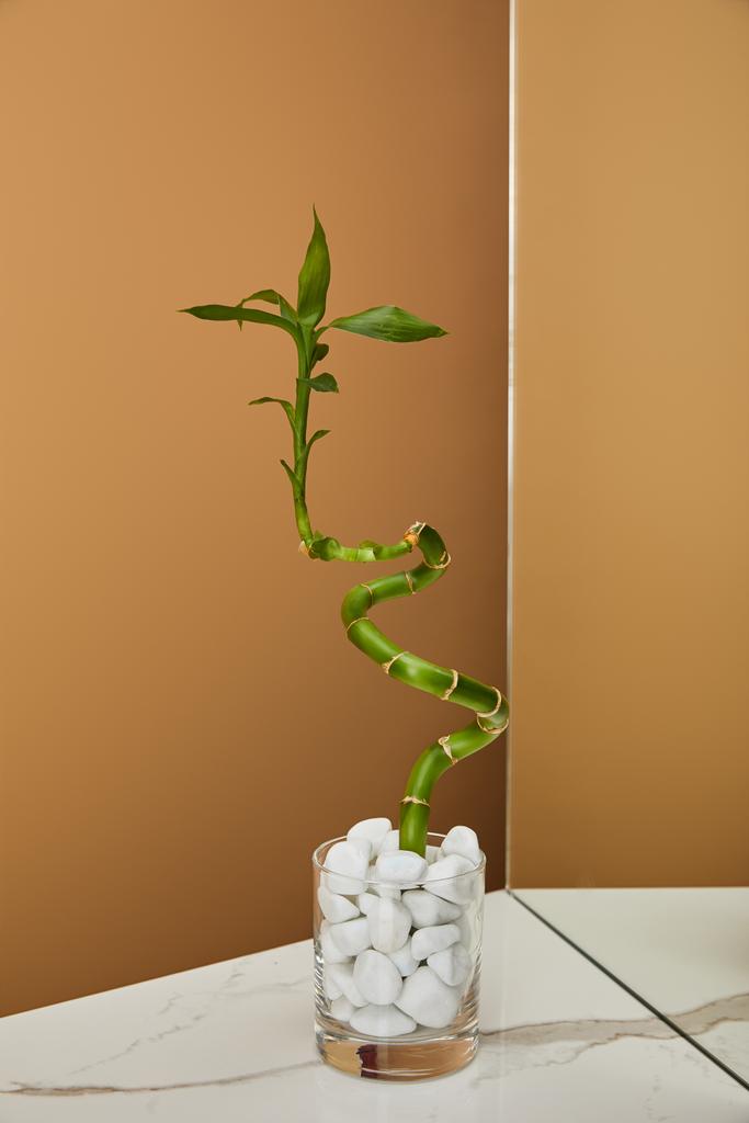 kmen bambusu vázy s kameny a zrcadlo na bílý mramorový stůl, béžové pozadí - Fotografie, Obrázek
