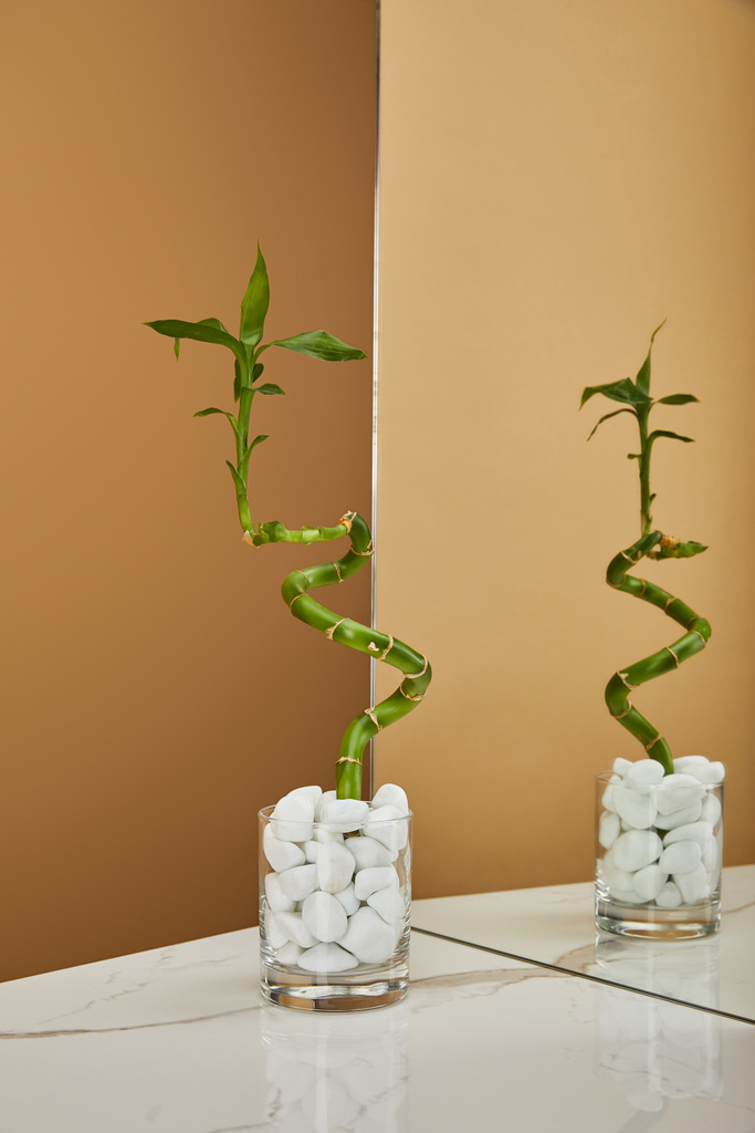 tige de bambou vert dans un vase avec pierres et miroir sur table en marbre blanc et fond beige
 - Photo, image
