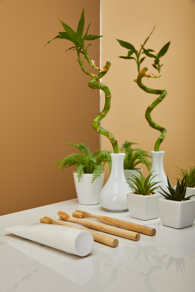 花瓶と植物、チューブの歯磨き粉、白いテーブル、ベージュ色の背景上のミラーの横にある歯ブラシが付いている鍋緑竹幹 - 写真・画像