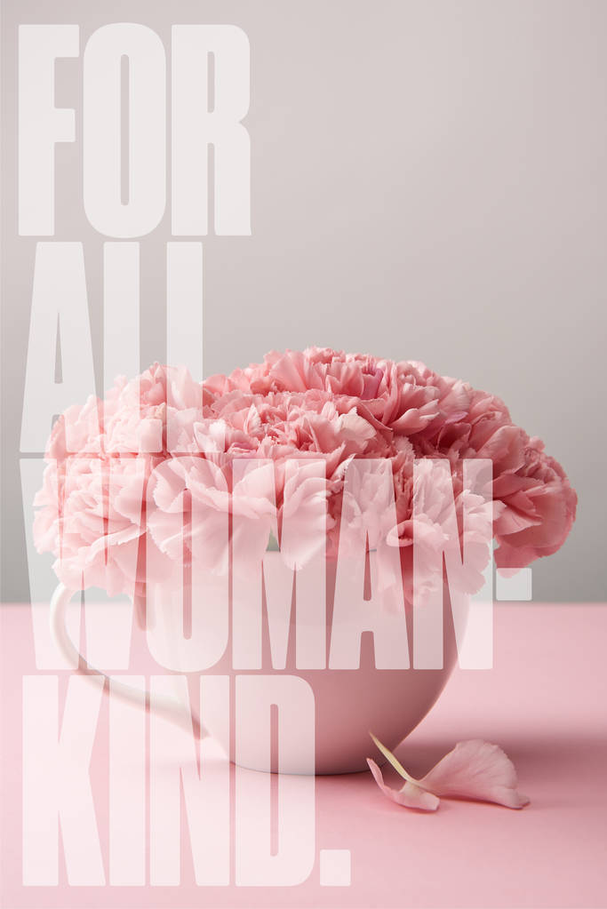 różowe kwiaty goździków w Pucharze na szarym tle z dla wszystkich kobieta rodzaju napisów - Zdjęcie, obraz