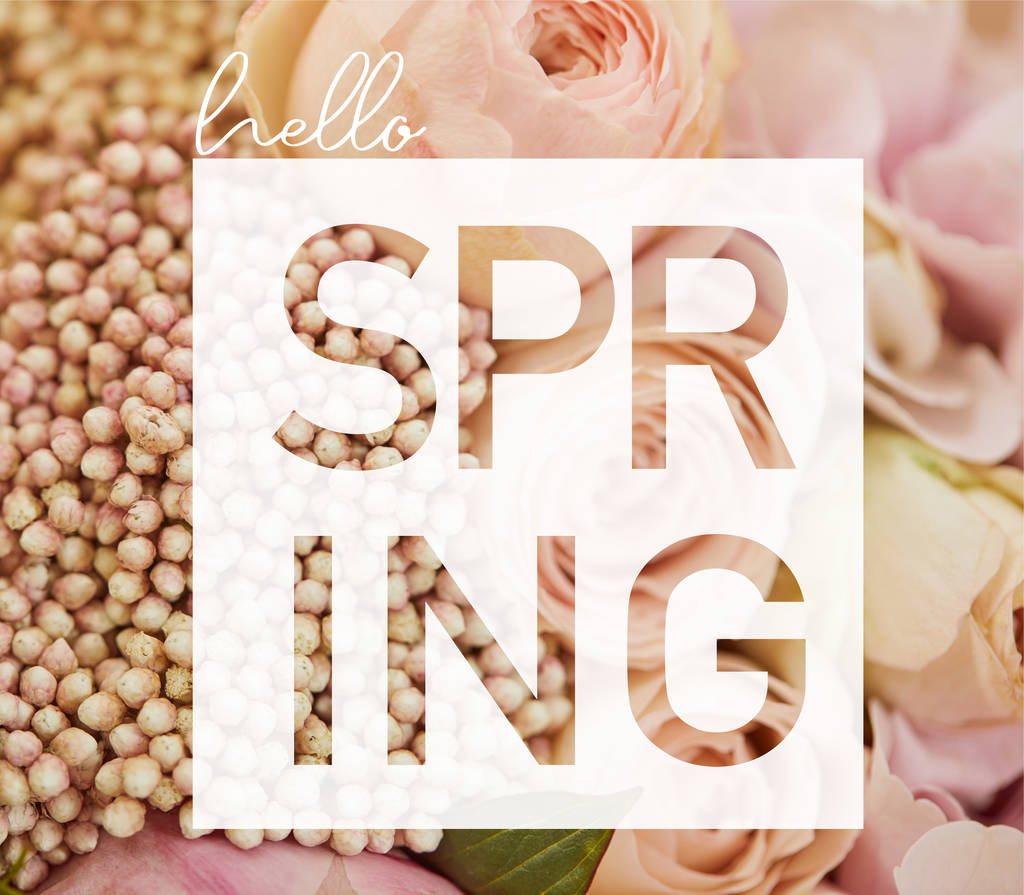 ベージュのバラの花束のクローズ アップとこんにちは春レタリング - 写真・画像