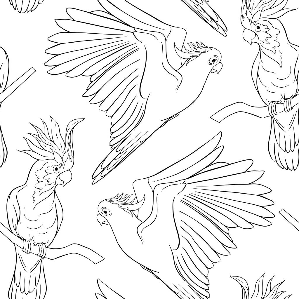 Χωρίς ραφή πρότυπο, φόντο με τροπικά πουλιά. Λευκό ερωδιός, είδος ψιττακού παπαγάλος. Περίγραμμα χέρι σχέδιο εικονογράφηση διάνυσμα - Διάνυσμα, εικόνα
