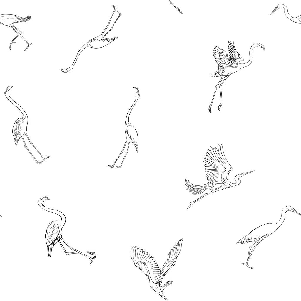nahtloses Muster, Hintergrund mit tropischen Vögeln. Reiher, Flamingo. Umriss Hand Zeichnung Vektor Illustration - Vektor, Bild